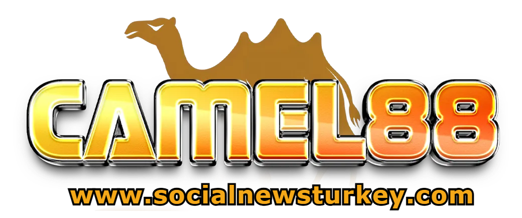 camel88